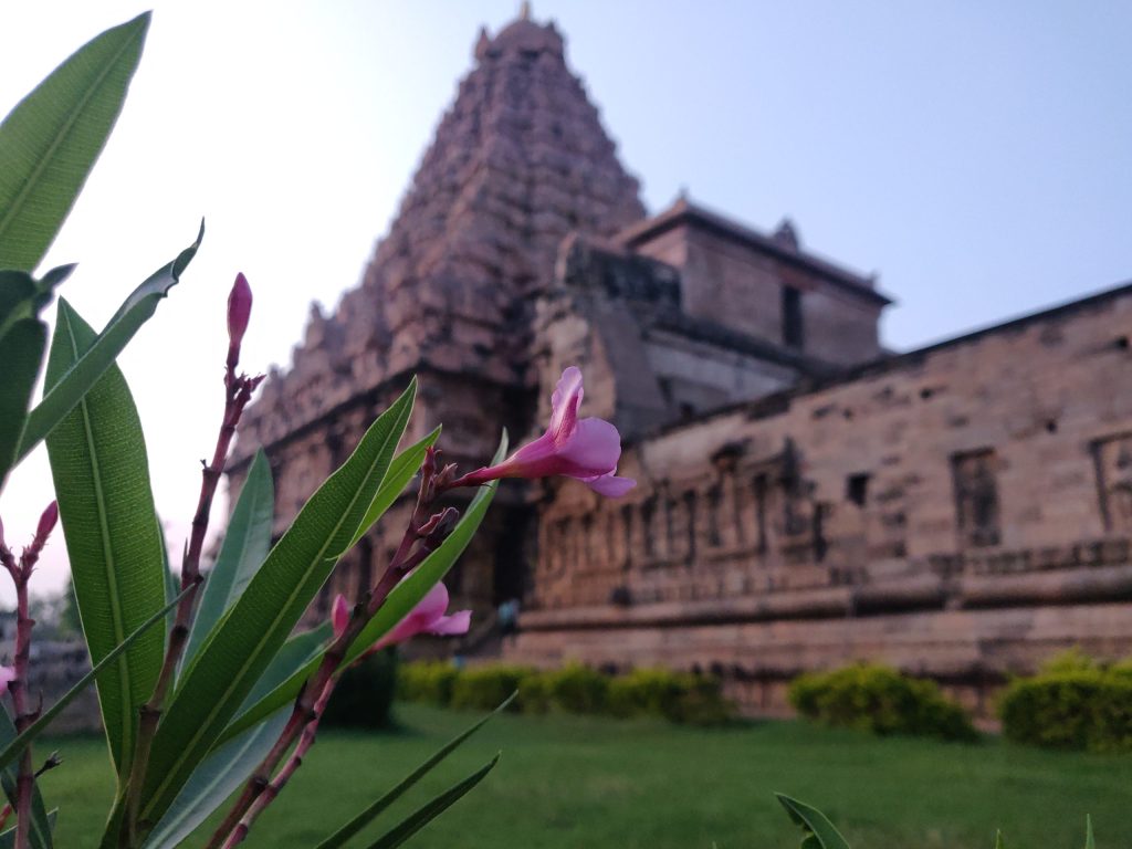 The stone tower of the Brihadisvara Temple at Gangaikonda Cholapuram in Tamil Nadu seen across its lawn