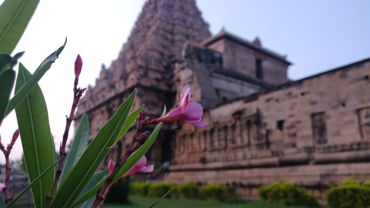 The stone tower of the Brihadisvara Temple at Gangaikonda Cholapuram in Tamil Nadu seen across its lawn