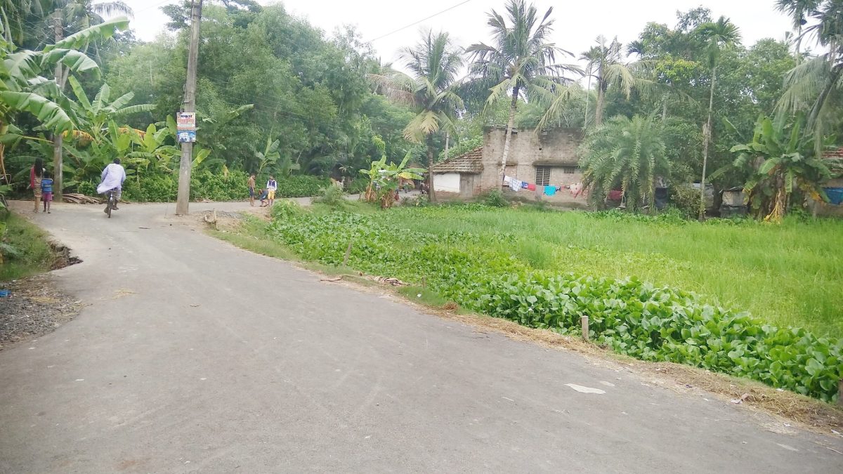 A village in Nandigram, East Midnapore, West Bengal