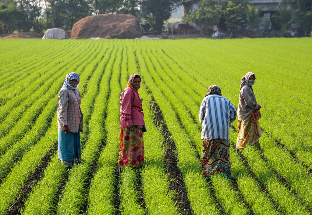 Women farm workers in Gujarat