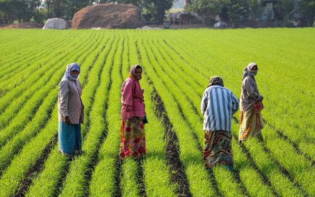 Gujarat Drought Distress: Farmers Barred From Secretariat as Maharashtra Announces Rs 5,000 Aid