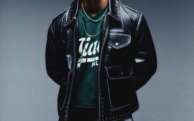 Hanumankind Biography: Age, Early Life, Big Dawgs, Run It Up, Songs and Career