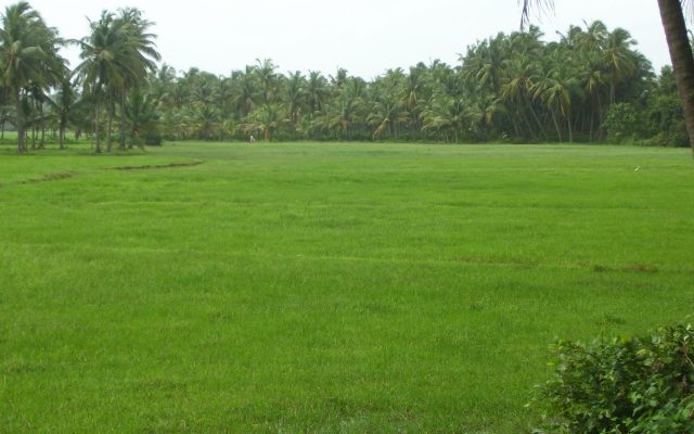 Karnataka Farmer Loses ₹1.31 Crore in ‘Digital Arrest’ Scam After Fraudsters Accused Him of Funding the Pahalgam Attack
