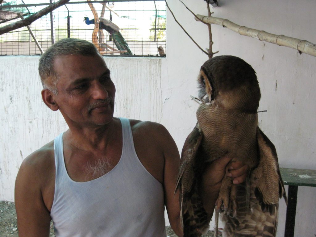Prakash Amte in a white vest sitting beside a large rescued owl