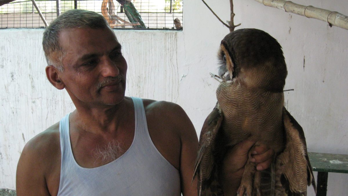 Prakash Amte in a white vest sitting beside a large rescued owl