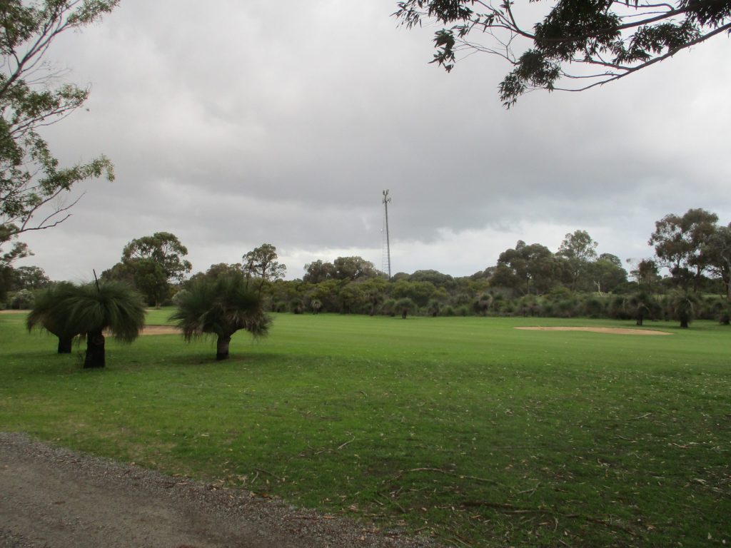 A mobile phone tower beside a golf course