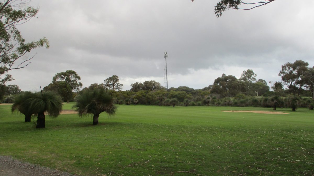 A mobile phone tower beside a golf course