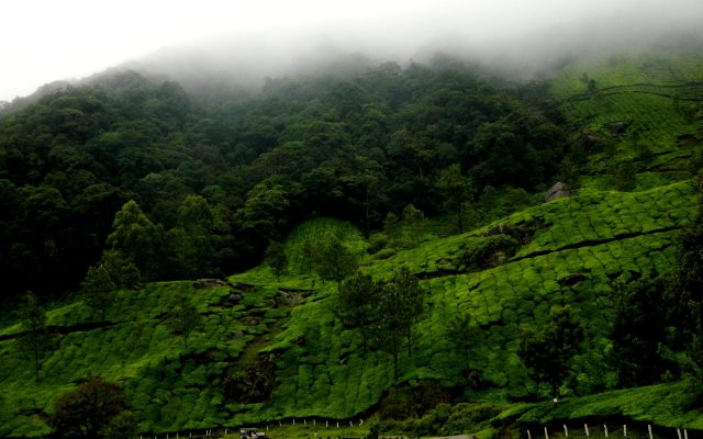 Western Ghats: Biodiversity Hotspot and UNESCO World Heritage Site Explained