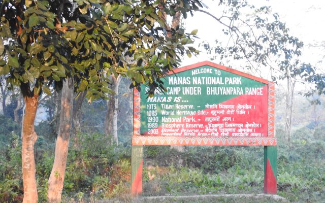 Manas National Park: Wildlife, History and Why It Is a UNESCO World Heritage Site