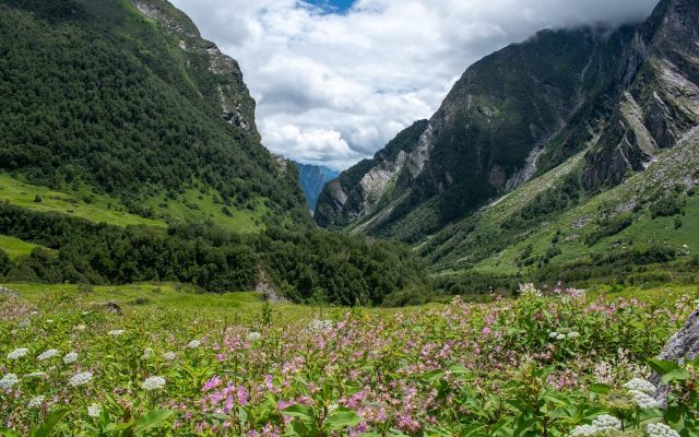 Nanda Devi and Valley of Flowers National Parks: UNESCO World Heritage Site Explained